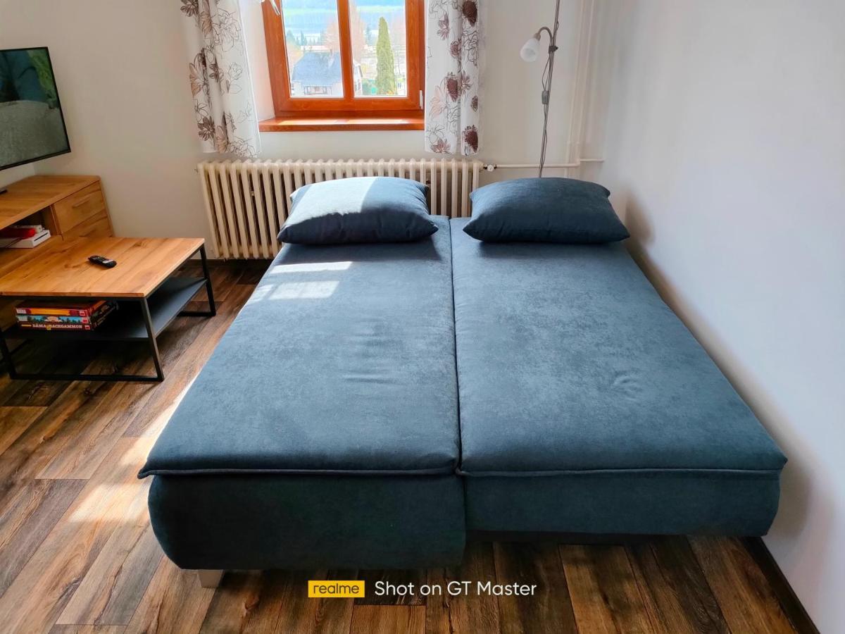 Penzion Sumava - Apartman Horní Planá المظهر الخارجي الصورة